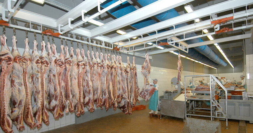 Дезинсекция на мясокомбинате в п. Лесной Городок, цены на услуги